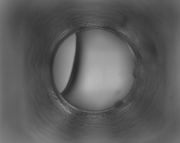 X0000053010729200507081021