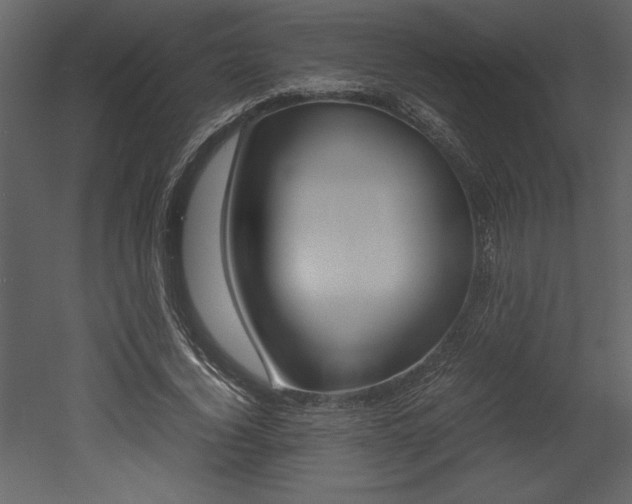 X0000053010732200507081021