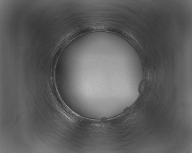 X0000053010733200507081021