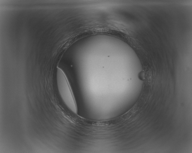 X0000053010746200507081021