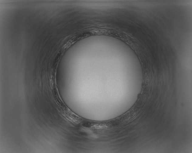 X0000053010749200507081021