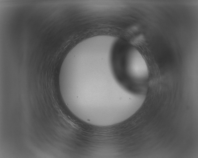 X0000053010750200507081021