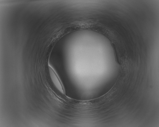 X0000053010752200507081021