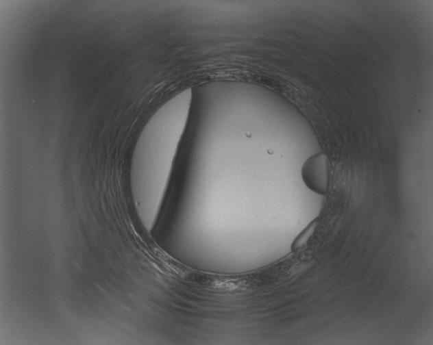 X0000053010753200507081021