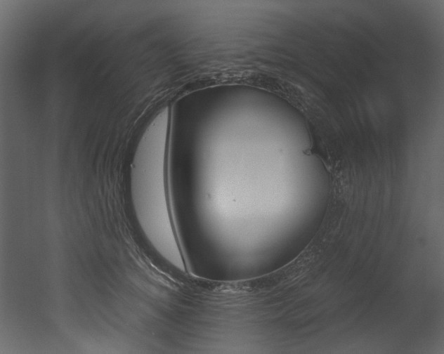 X0000053010756200507081021