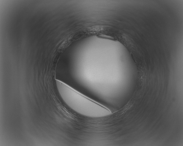 X0000053010758200507081021