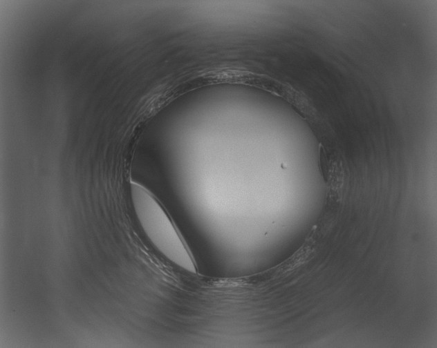 X0000053010762200507081021