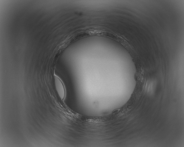 X0000053010763200507081021