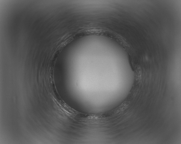 X0000053010764200507081021