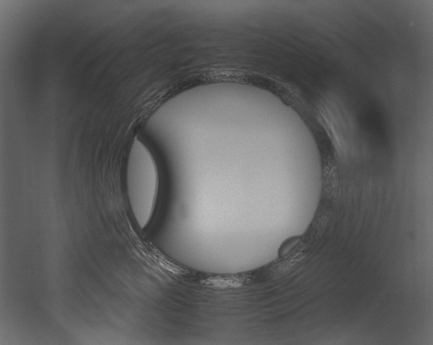 X0000053010765200507081021