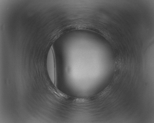 X0000053010766200507081021