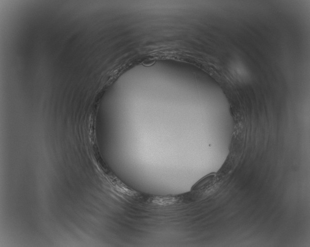 X0000053010767200507081021