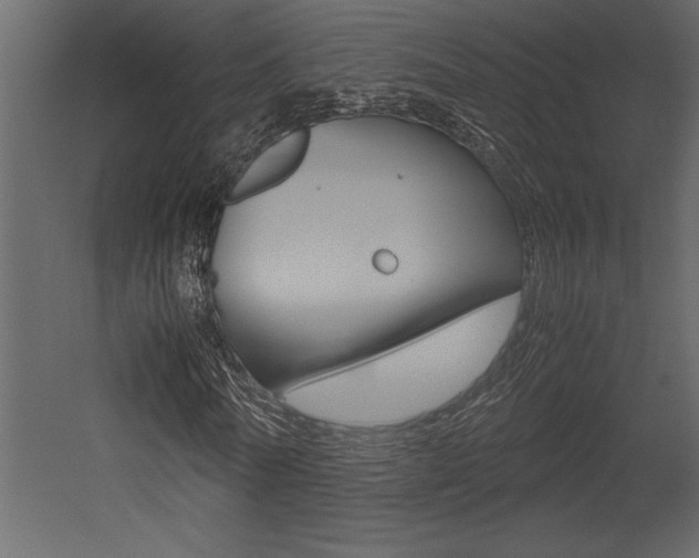 X0000053010770200507081020