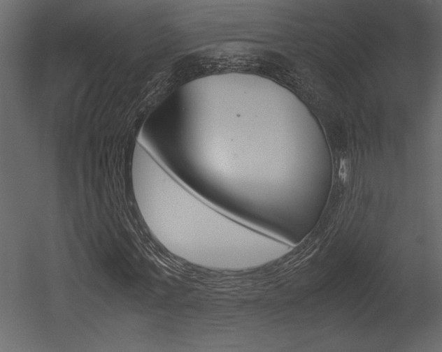 X0000053010771200507081020