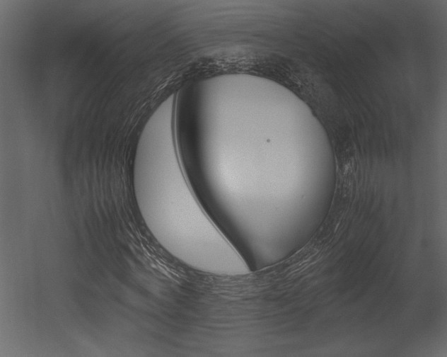 X0000053010772200507081020