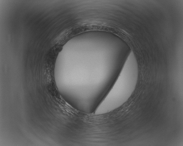 X0000053010774200507081020