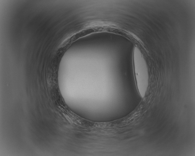 X0000053010775200507081020