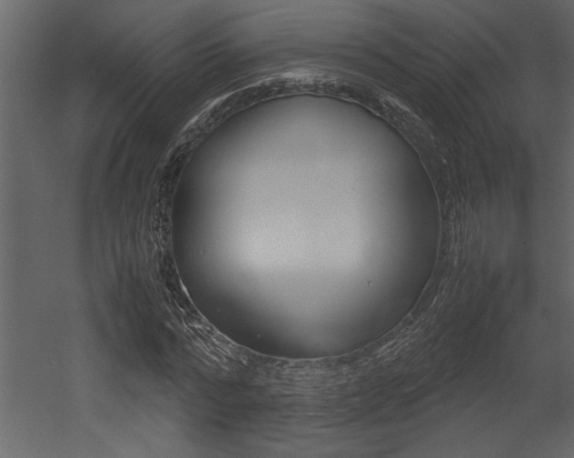 X0000053010776200507081020