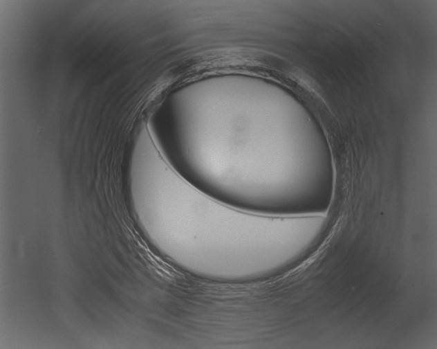 X0000053010777200507081020