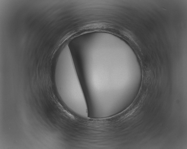 X0000053010778200507081020