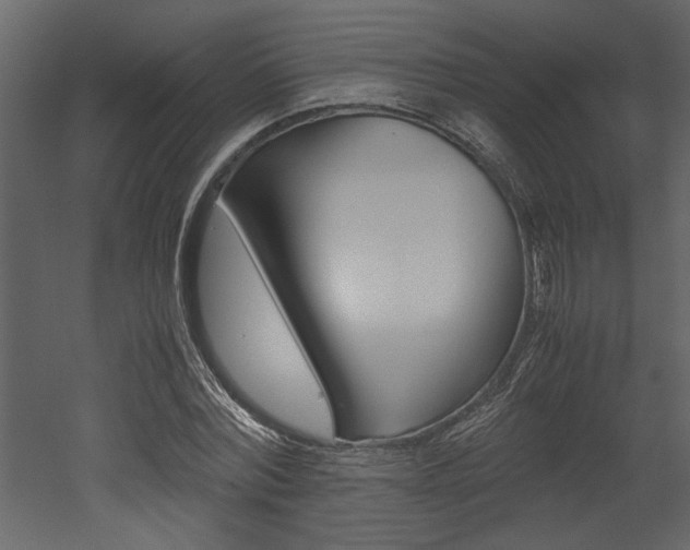 X0000053010780200507081020