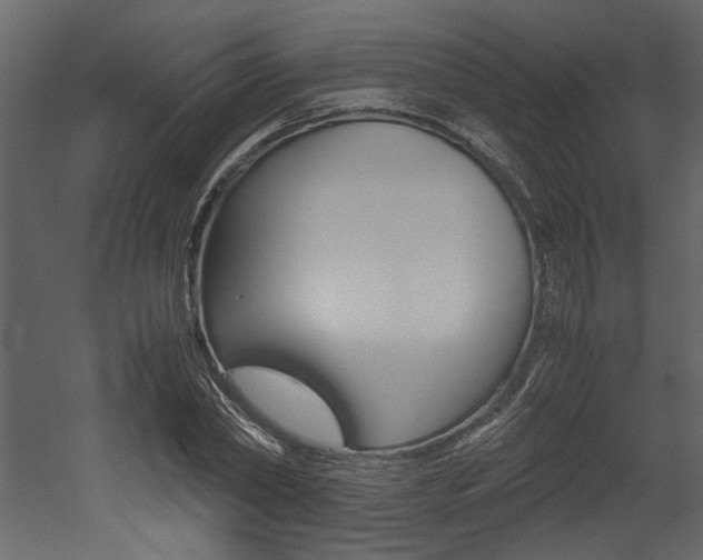 X0000053010782200507081020