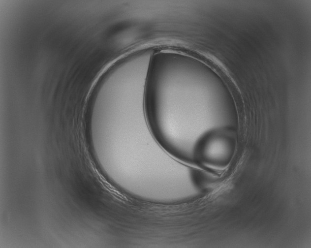 X0000053010783200507081020