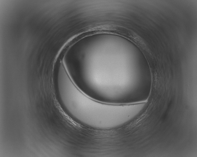 X0000053010784200507081020