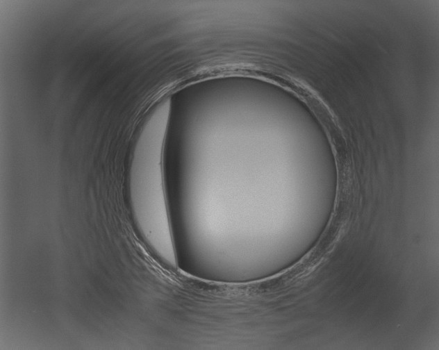 X0000053010785200507081020
