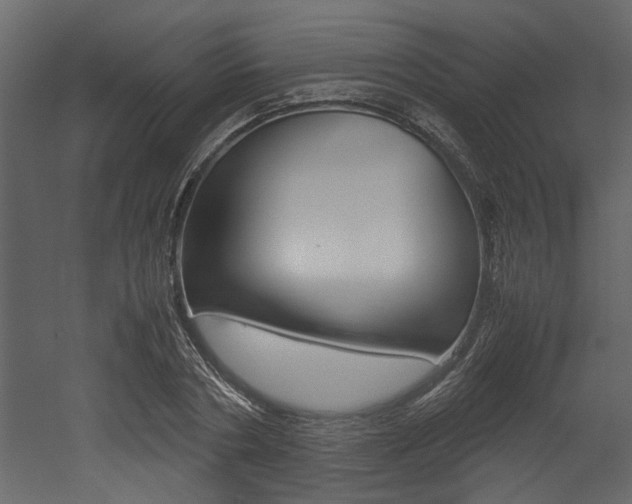X0000053010786200507081020