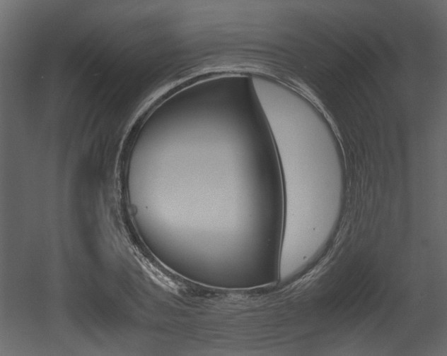 X0000053010787200507081020