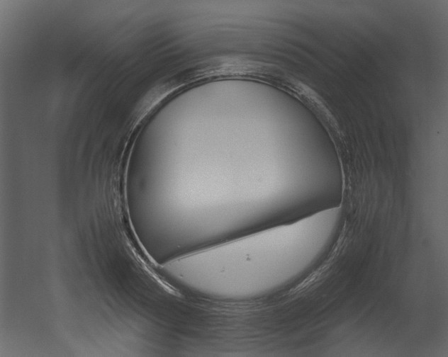 X0000053010794200507081020