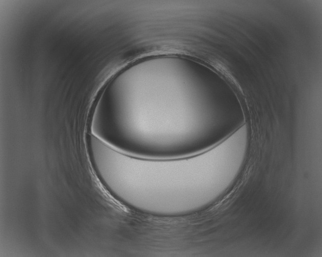 X0000053010797200507081020