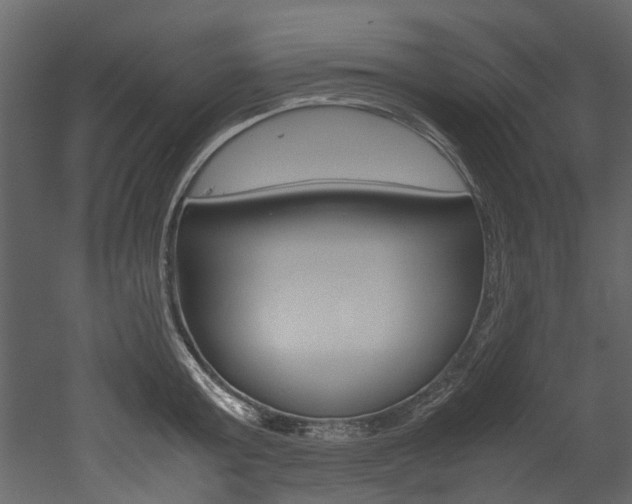 X0000053010803200507081020
