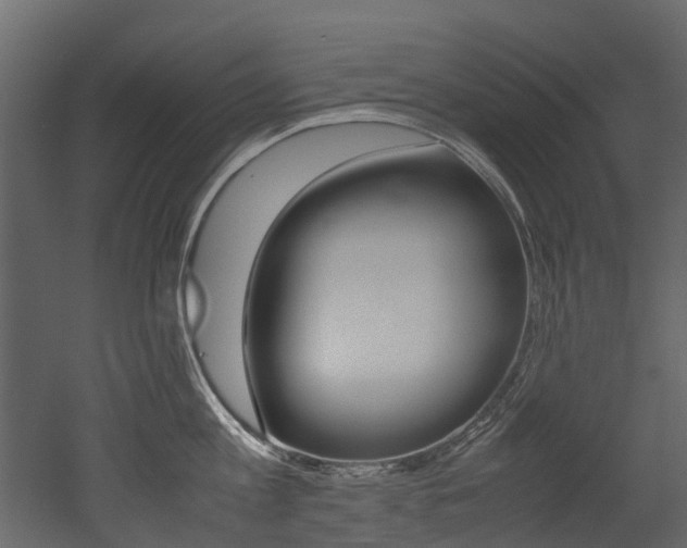 X0000053010813200507081020