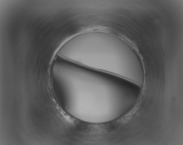 X0000053010816200507081020