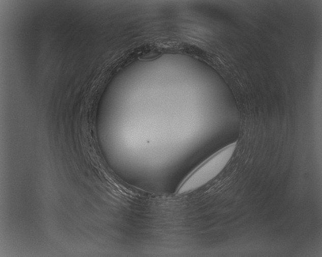 X0000053010817200507081019