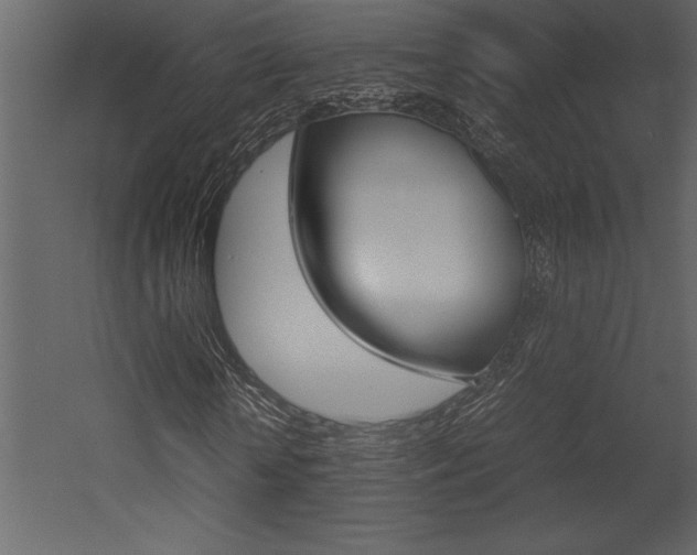X0000053010818200507081019