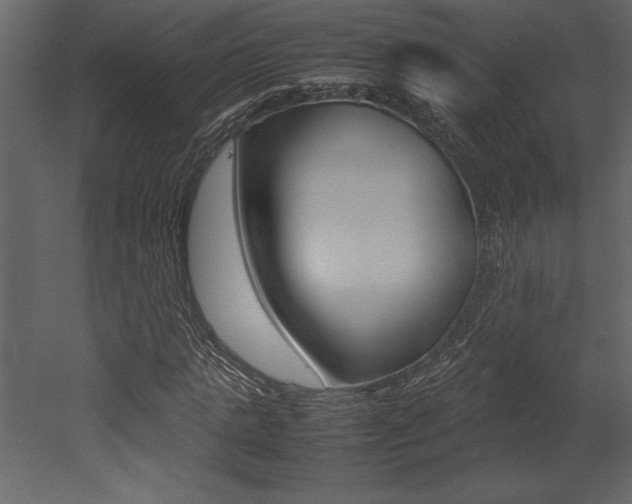 X0000053010821200507081019