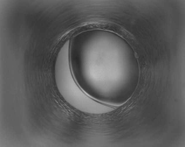 X0000053010822200507081019