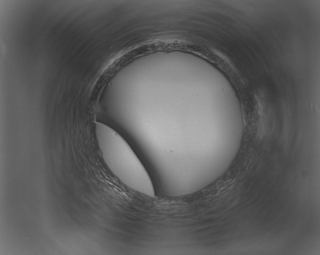 X0000053010823200507081019