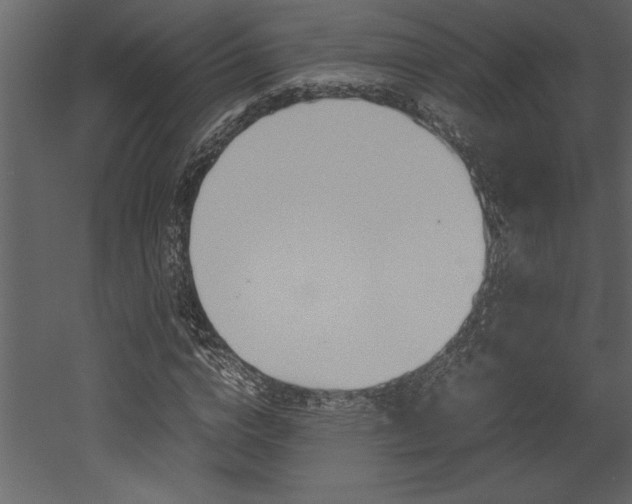 X0000053010824200507081019