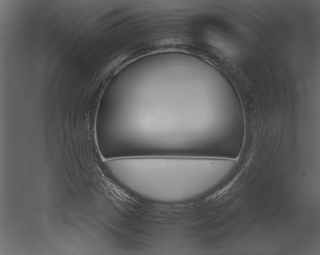 X0000053010825200507081019