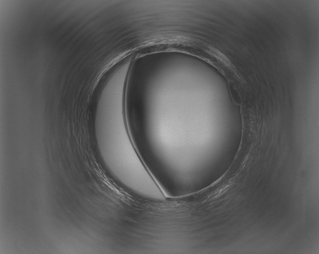 X0000053010826200507081019