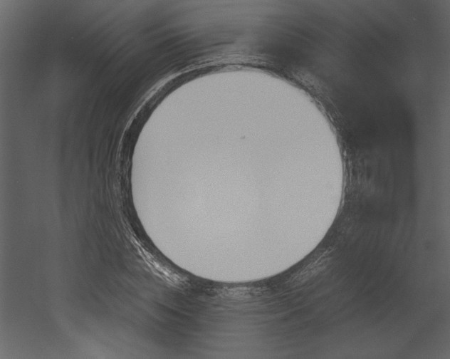X0000053010828200507081019