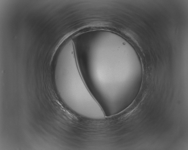 X0000053010829200507081019