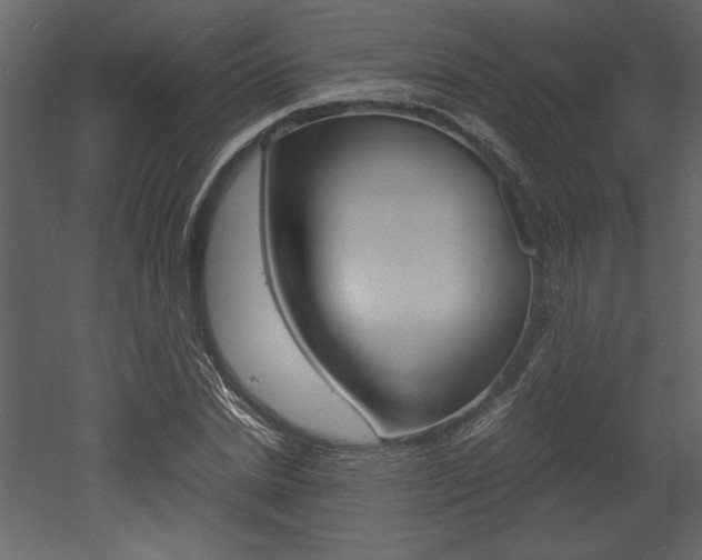 X0000053010830200507081019