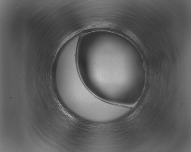 X0000053010834200507081019