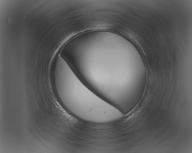 X0000053010835200507081019