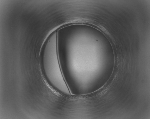 X0000053010838200507081019